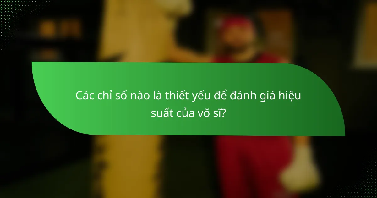 Các chỉ số nào là thiết yếu để đánh giá hiệu suất của võ sĩ?