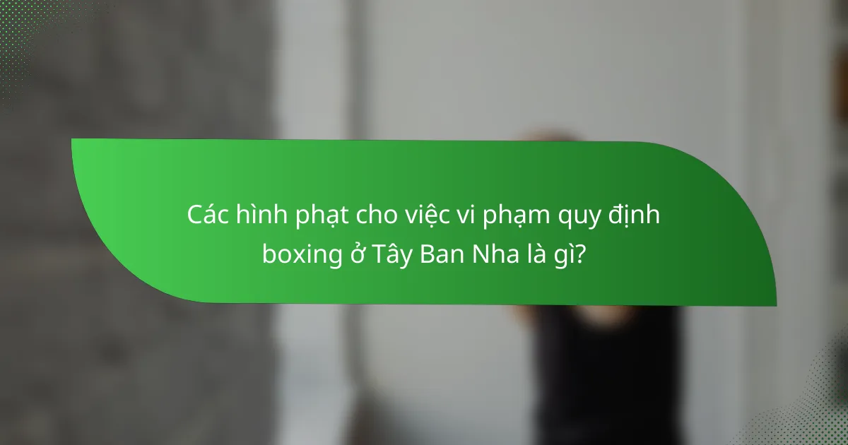 Các hình phạt cho việc vi phạm quy định boxing ở Tây Ban Nha là gì?