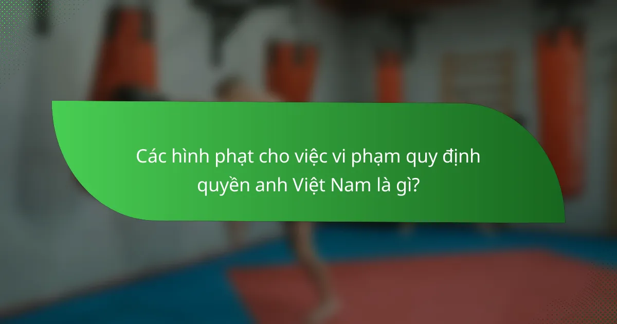 Các hình phạt cho việc vi phạm quy định quyền anh Việt Nam là gì?