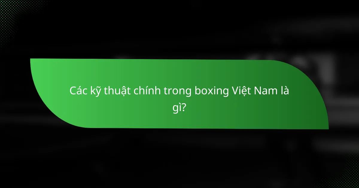 Các kỹ thuật chính trong boxing Việt Nam là gì?