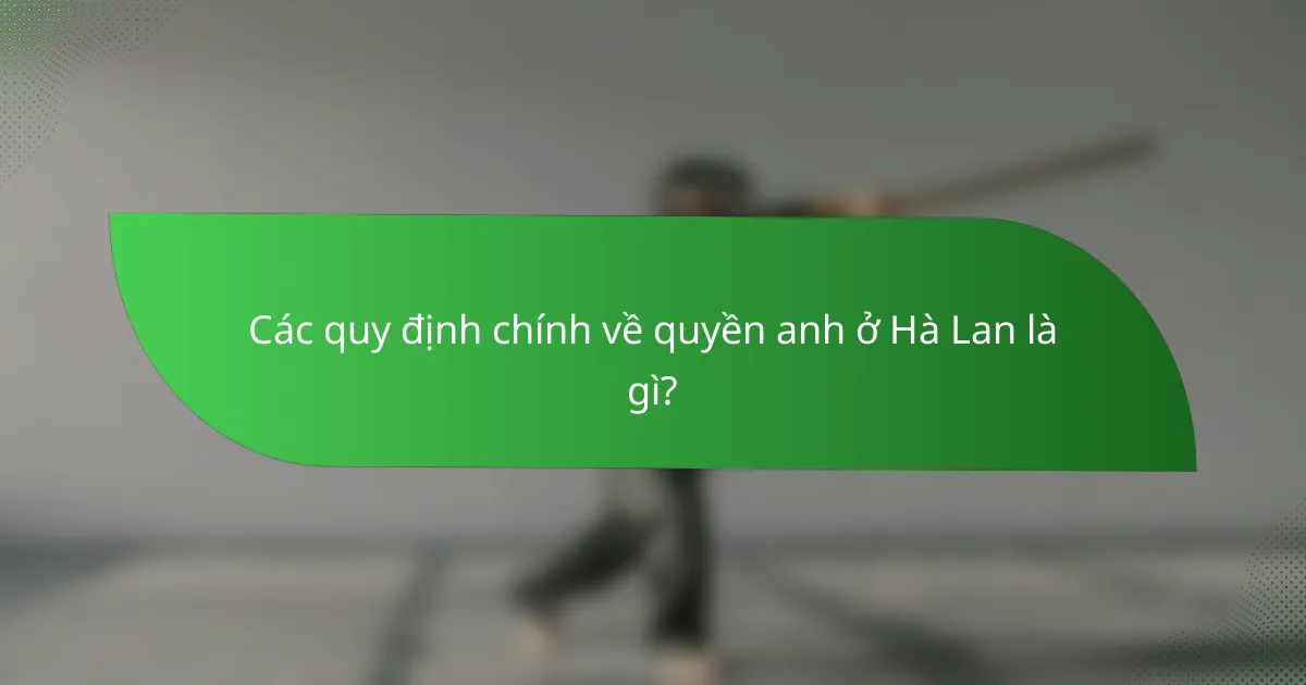 Các quy định chính về quyền anh ở Hà Lan là gì?
