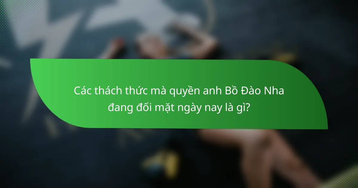 Các thách thức mà quyền anh Bồ Đào Nha đang đối mặt ngày nay là gì?