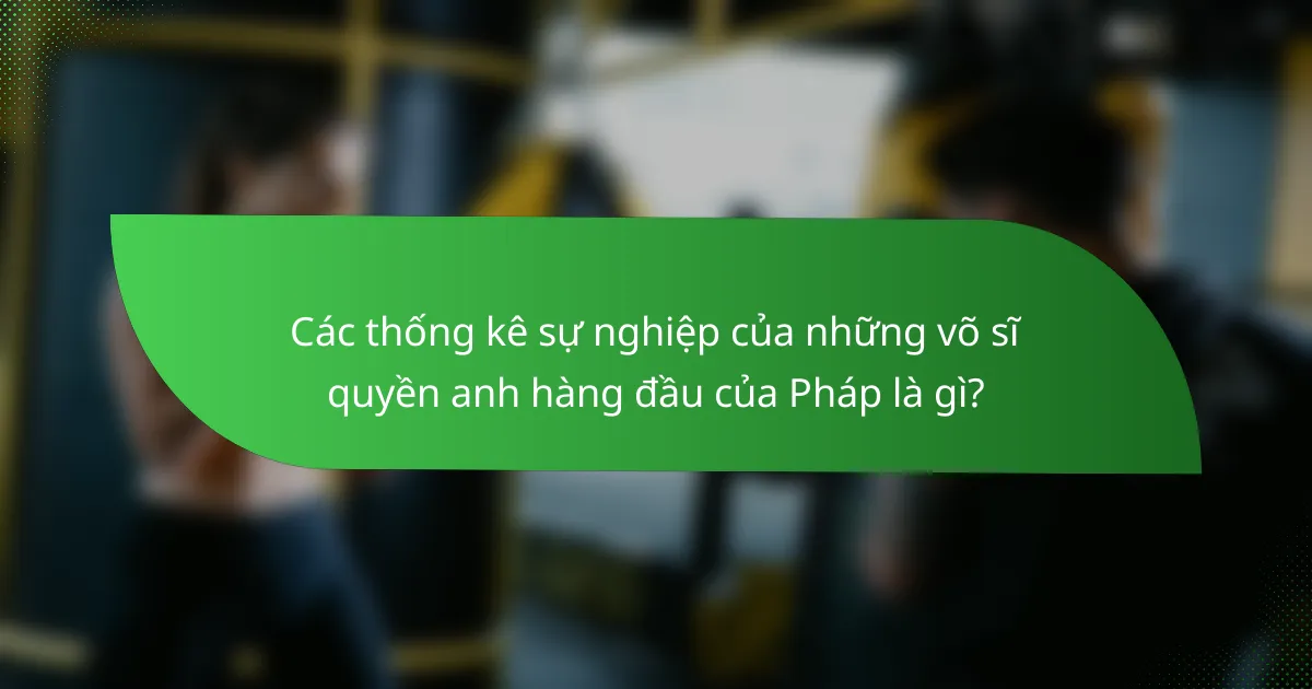 Các thống kê sự nghiệp của những võ sĩ quyền anh hàng đầu của Pháp là gì?