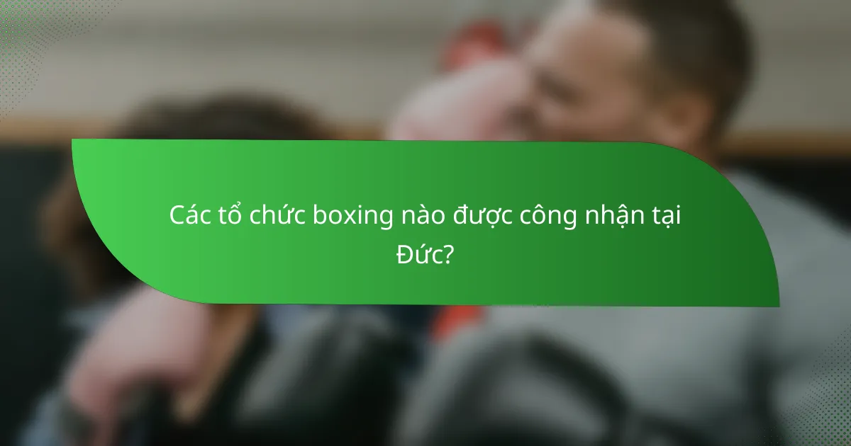 Các tổ chức boxing nào được công nhận tại Đức?