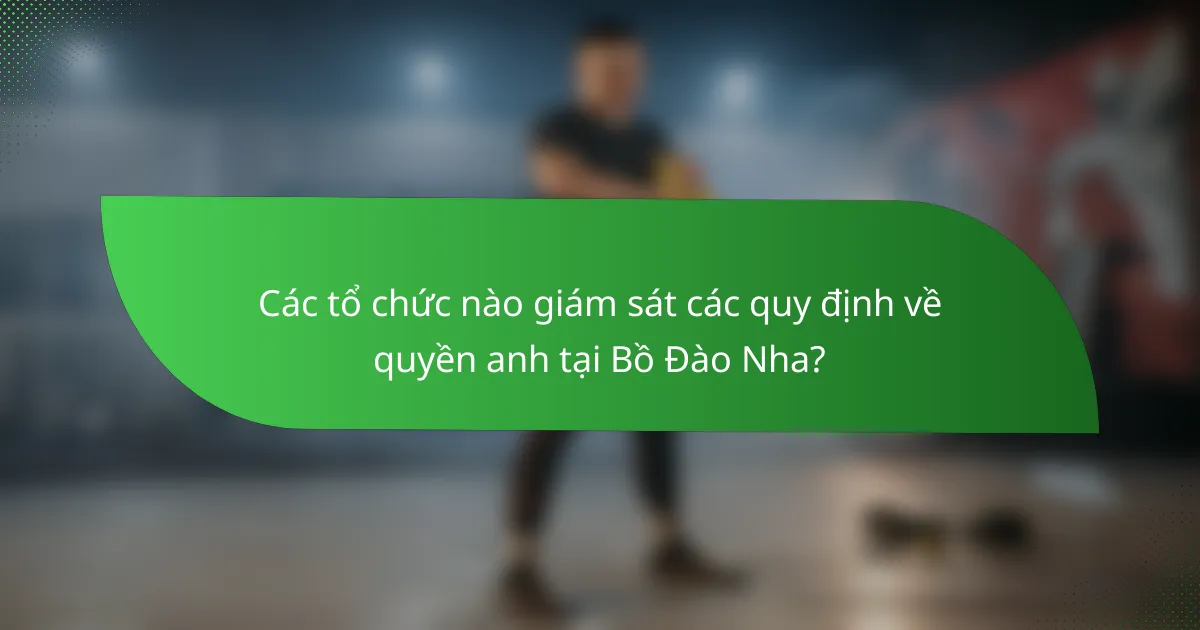 Các tổ chức nào giám sát các quy định về quyền anh tại Bồ Đào Nha?