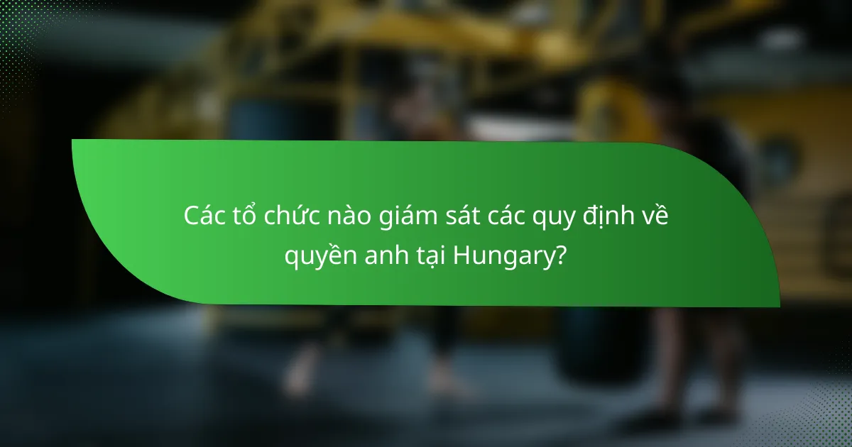 Các tổ chức nào giám sát các quy định về quyền anh tại Hungary?