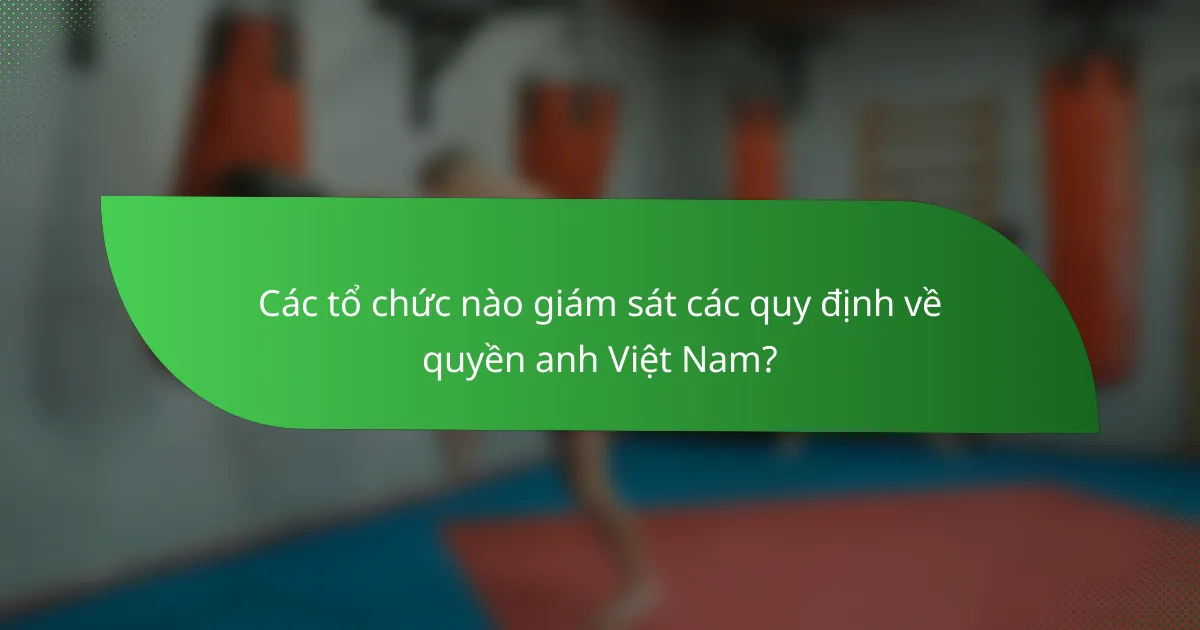 Các tổ chức nào giám sát các quy định về quyền anh Việt Nam?