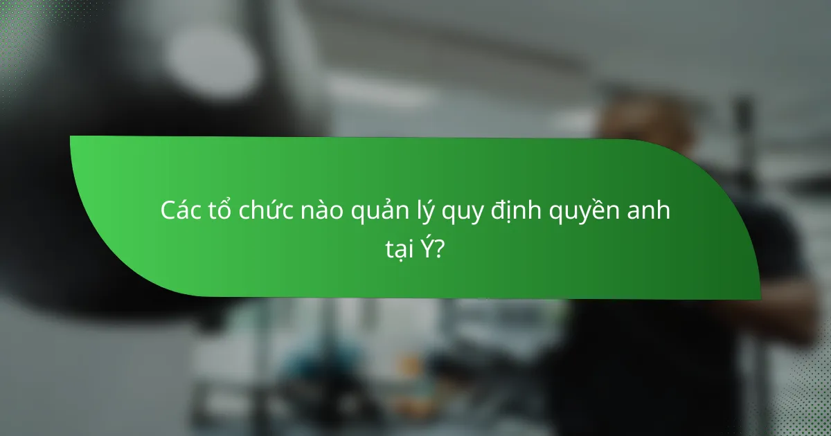 Các tổ chức nào quản lý quy định quyền anh tại Ý?