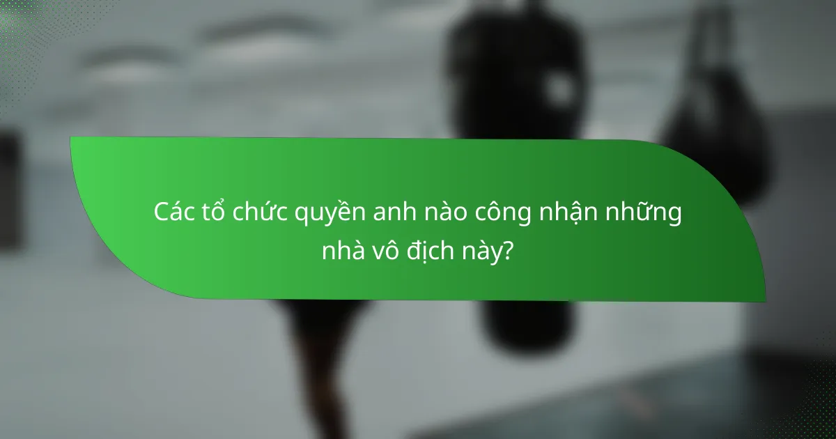 Các tổ chức quyền anh nào công nhận những nhà vô địch này?
