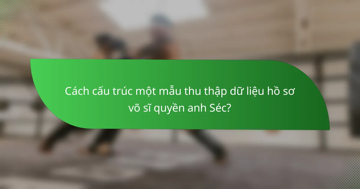 Cách cấu trúc một mẫu thu thập dữ liệu hồ sơ võ sĩ quyền anh Séc?