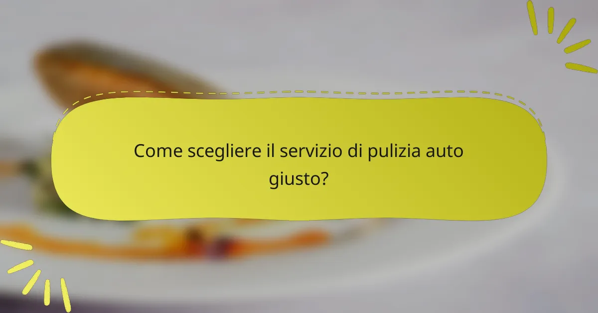 Come scegliere il servizio di pulizia auto giusto?