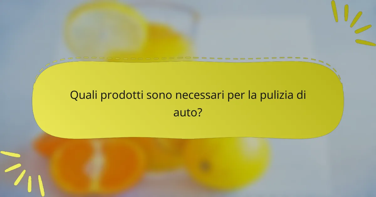 Quali prodotti sono necessari per la pulizia di auto?