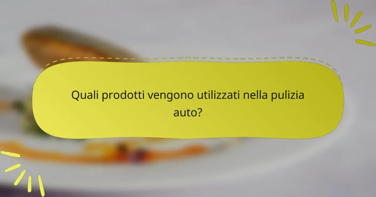 Quali prodotti vengono utilizzati nella pulizia auto?