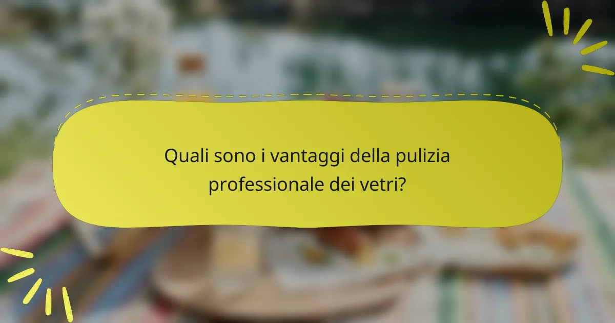 Quali sono i vantaggi della pulizia professionale dei vetri?