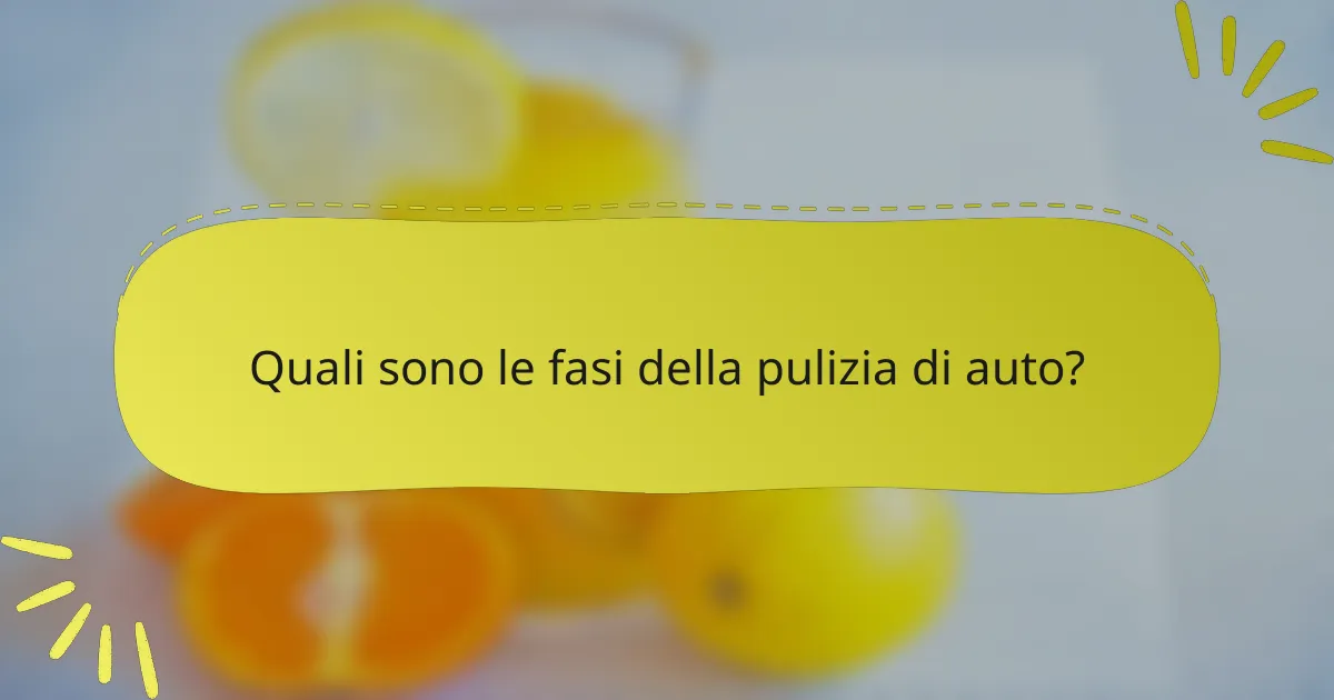 Quali sono le fasi della pulizia di auto?
