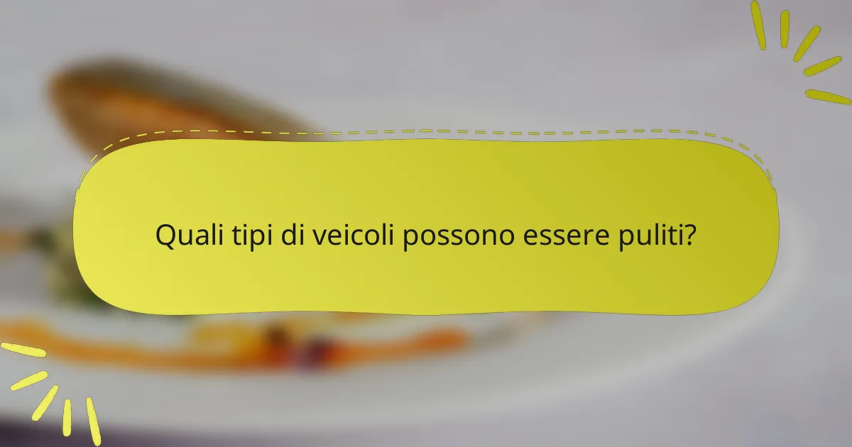 Quali tipi di veicoli possono essere puliti?